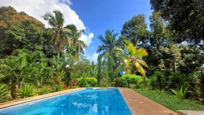 Cycad Palm Diani